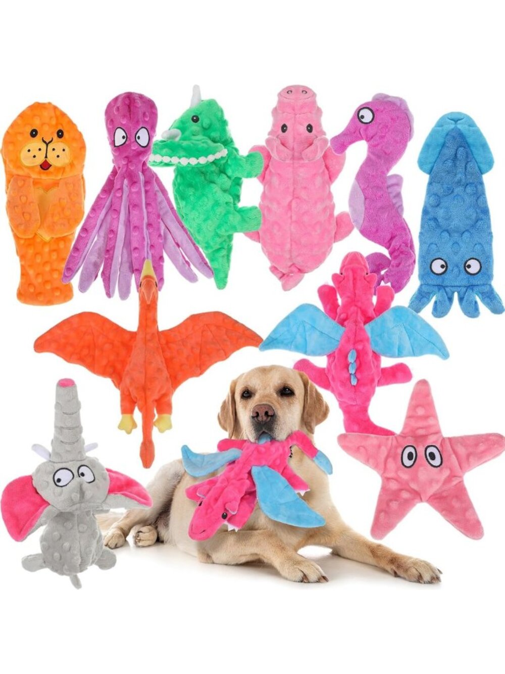 10 Pack Dog Squeaky Toys - No Stuffing, Crinkle Sounds, Assorted Chew Styles